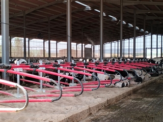 Flexible Cubicles